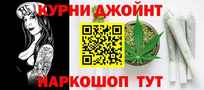 гашик Дмитров