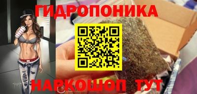гашик Дмитров