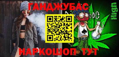 гашик Дмитров