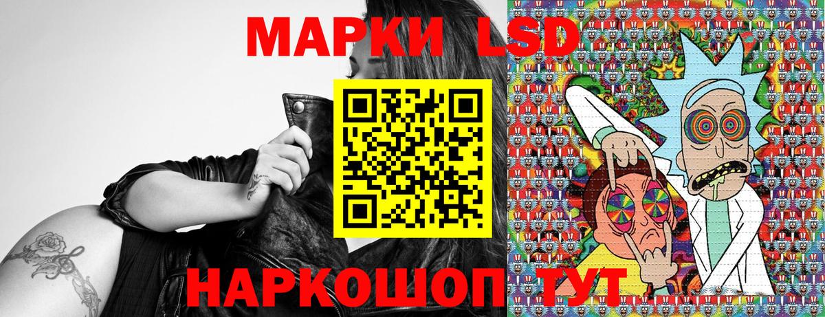 Выборг  Наркотические марки 1,5мг  Вход с VPN  Наркотические марки  Наркотические марки 1,5мг 
