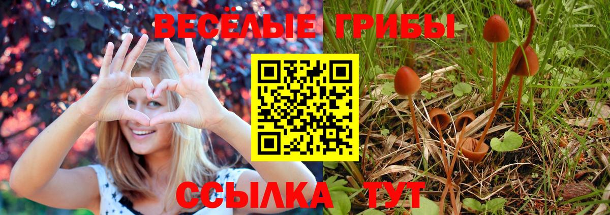 Выборг  Псилоцибиновые грибы мухоморы  купить наркоту  Вход с VPN 